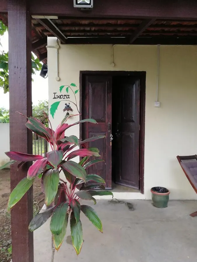 Coco Country Homes Malacca Malaysia