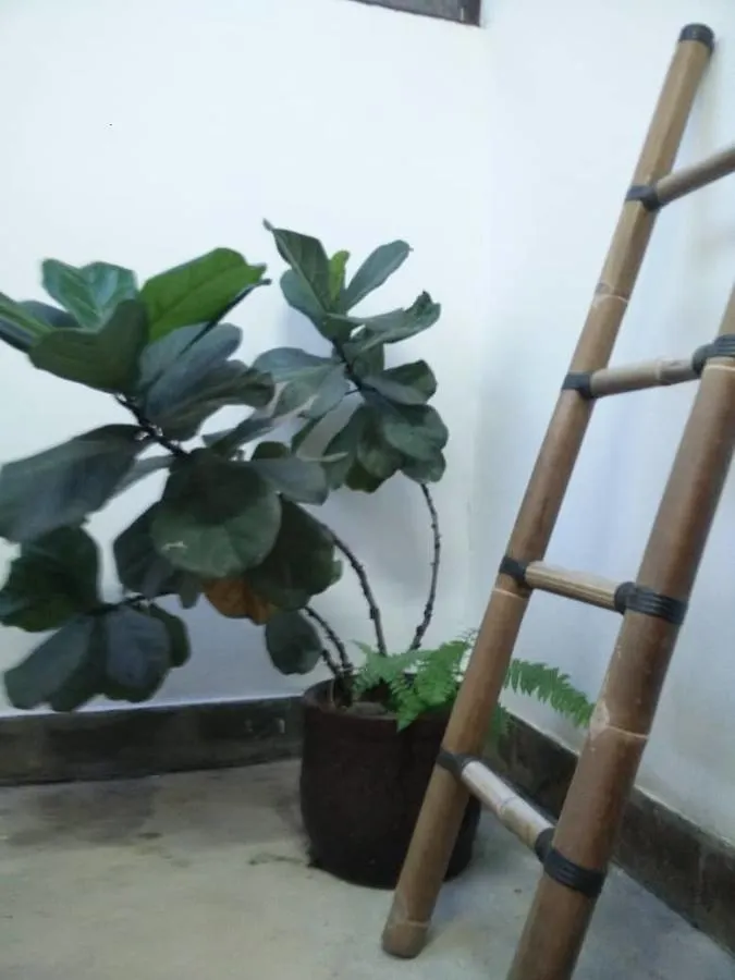 Coco Country Homes Malacca Guest house